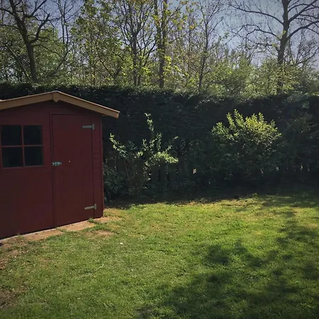 For 6 In Sint Maartenszee Tatil Evi Sint Maartensvlotbrug